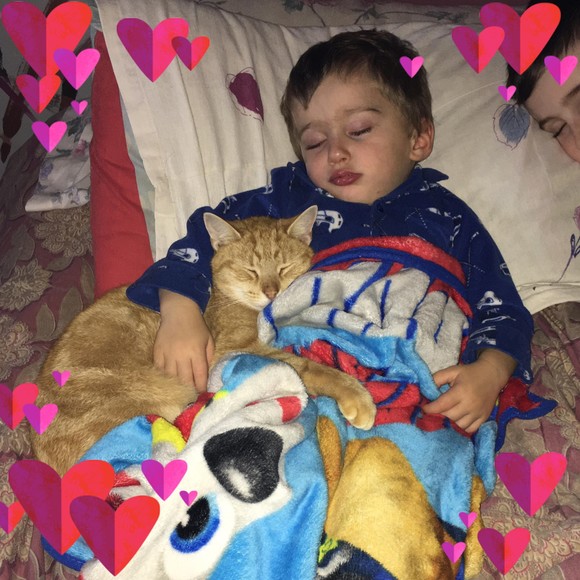 Meet your Posher, Alicia - Picture 1 of 1